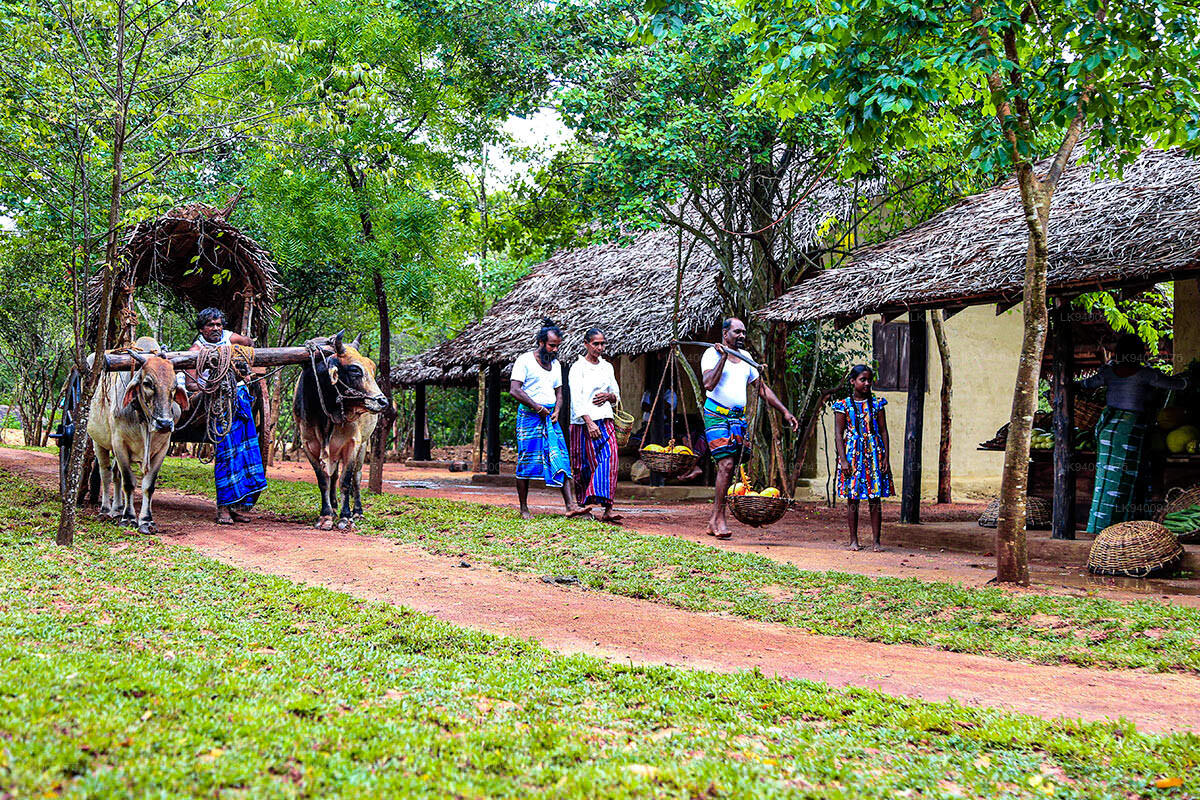 Do a traditional village tour